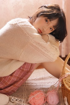 十二金鸭